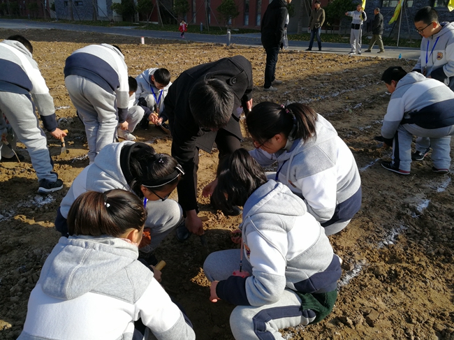 老师指导