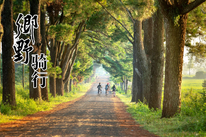 1762175882858104.jpg 5 (1)主图.jpg