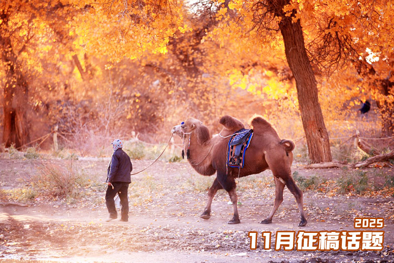 1762244109630610.jpg 征稿话题.jpg