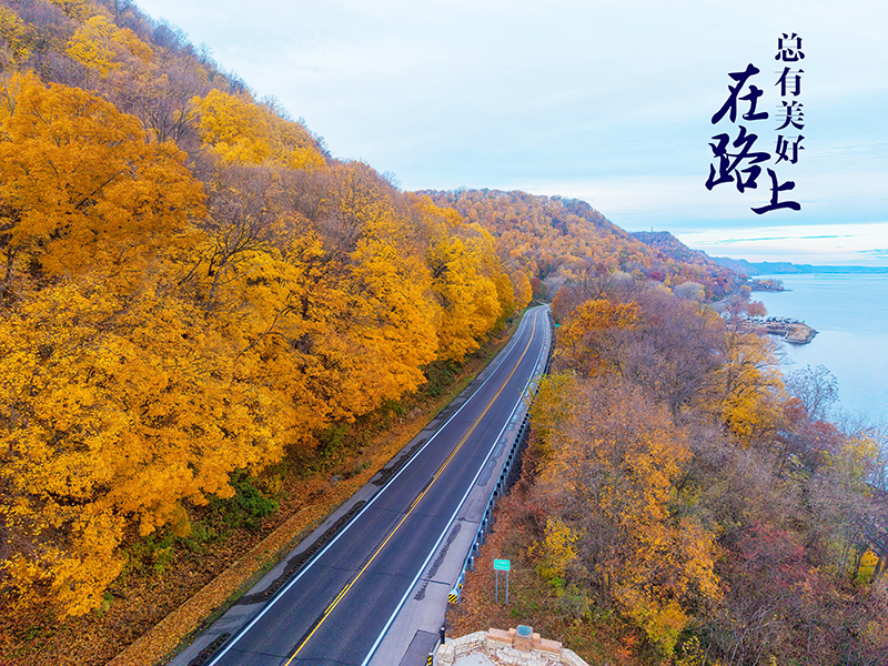 1764919963459764.jpg 6-1.jpg