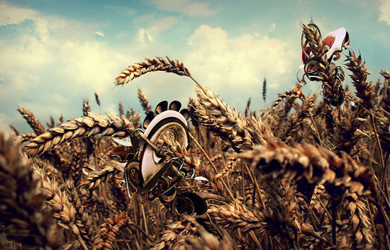 学会忍受孤独_不能忍受考验的人_人要学会忍