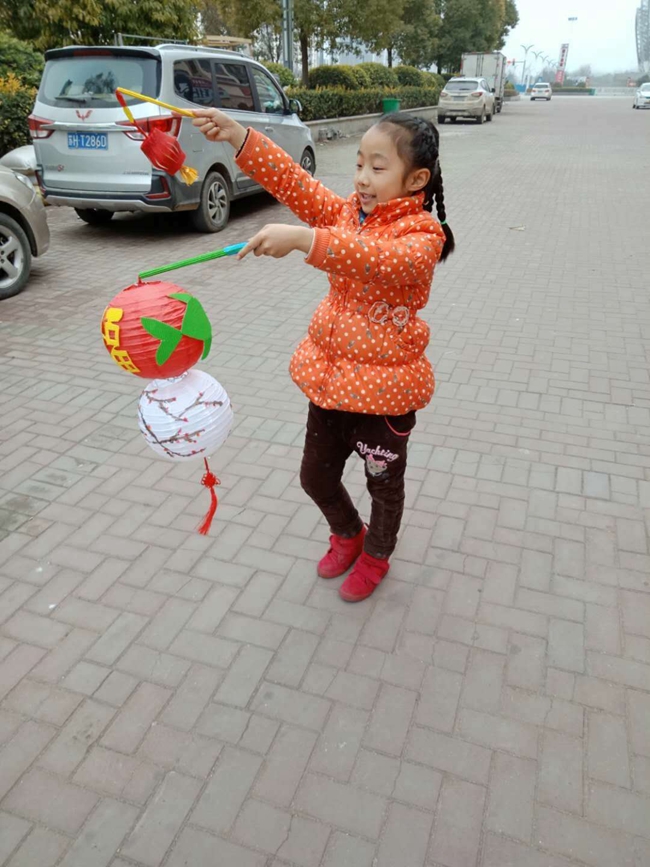 赵雯馨制作的中国风花灯