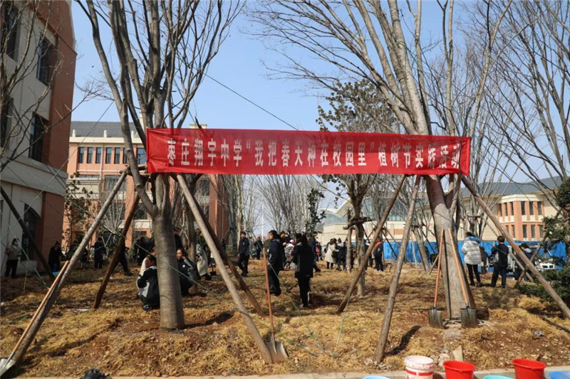 图片[2]-枣庄翔宇:我把春天种在校园里-爱山亭网