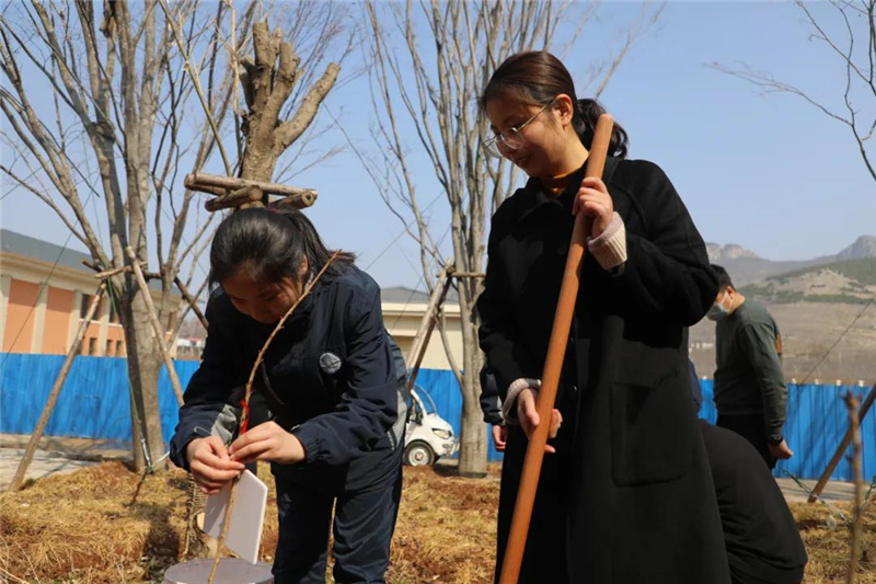 图片[13]-枣庄翔宇:我把春天种在校园里-爱山亭网