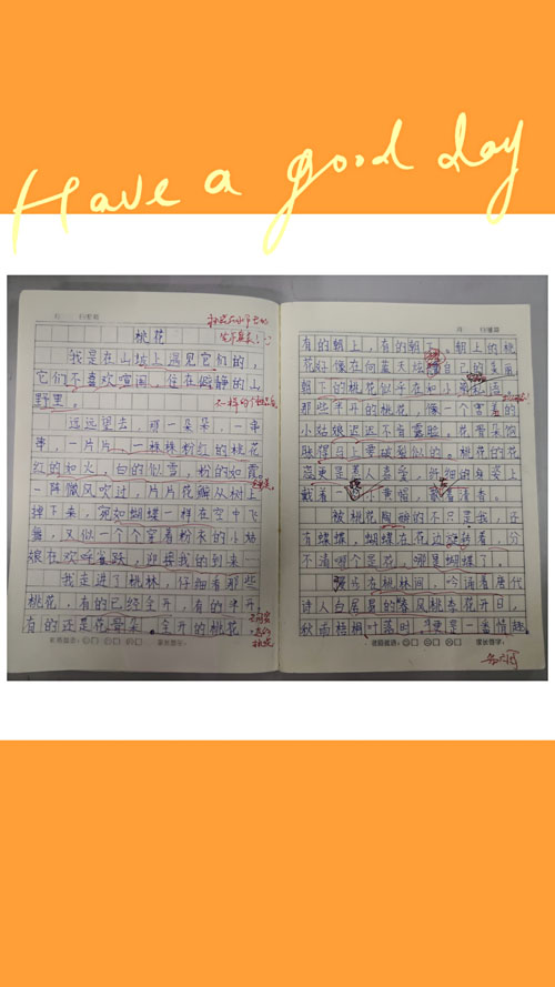 小树的心思300字想象作文_小树的心思想象故事作文_小树的心思想象作文