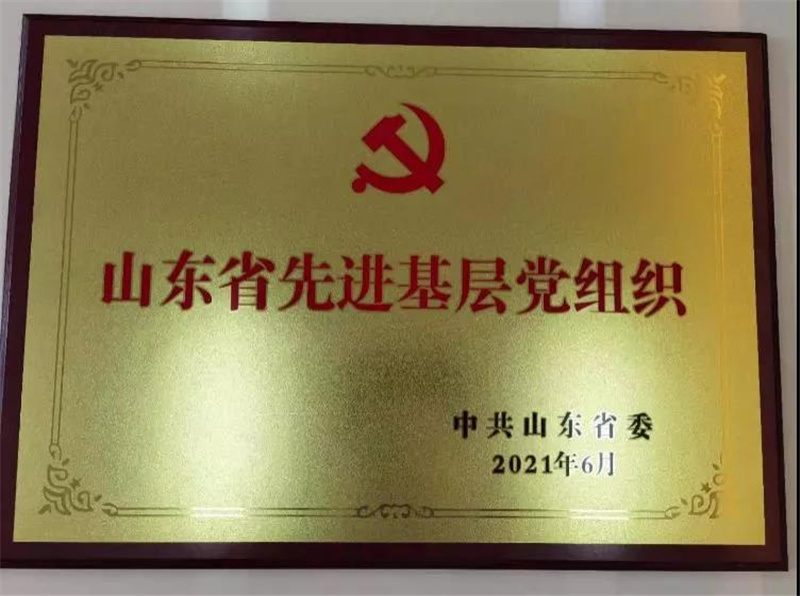 图片[1]-枣庄翔宇中学荣获省级“两优一先”荣誉称号-爱山亭网