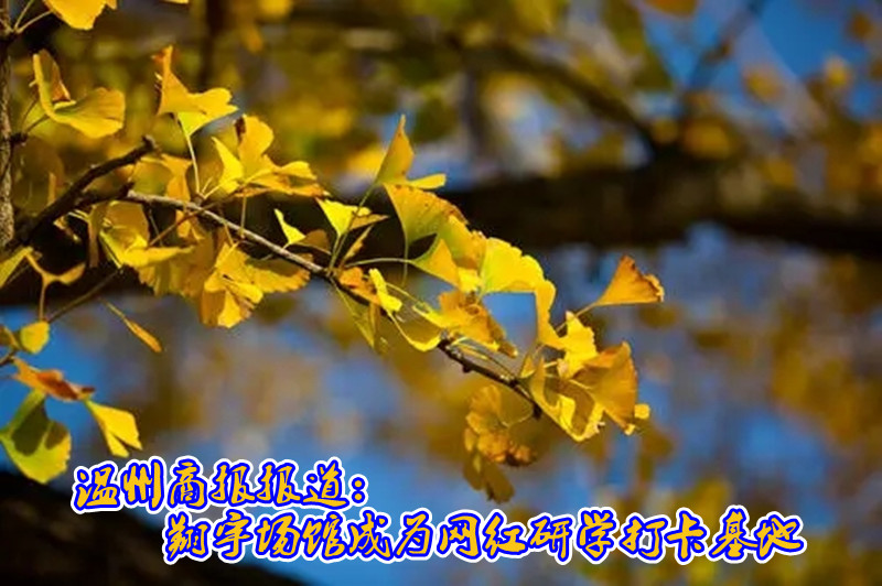 温州商报报道:翔宇场馆成为网红研学打卡基地