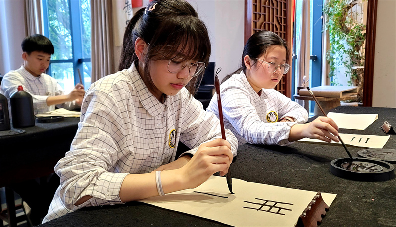 民乐、灯谜、刺绣、理财……一大波选修课又来了