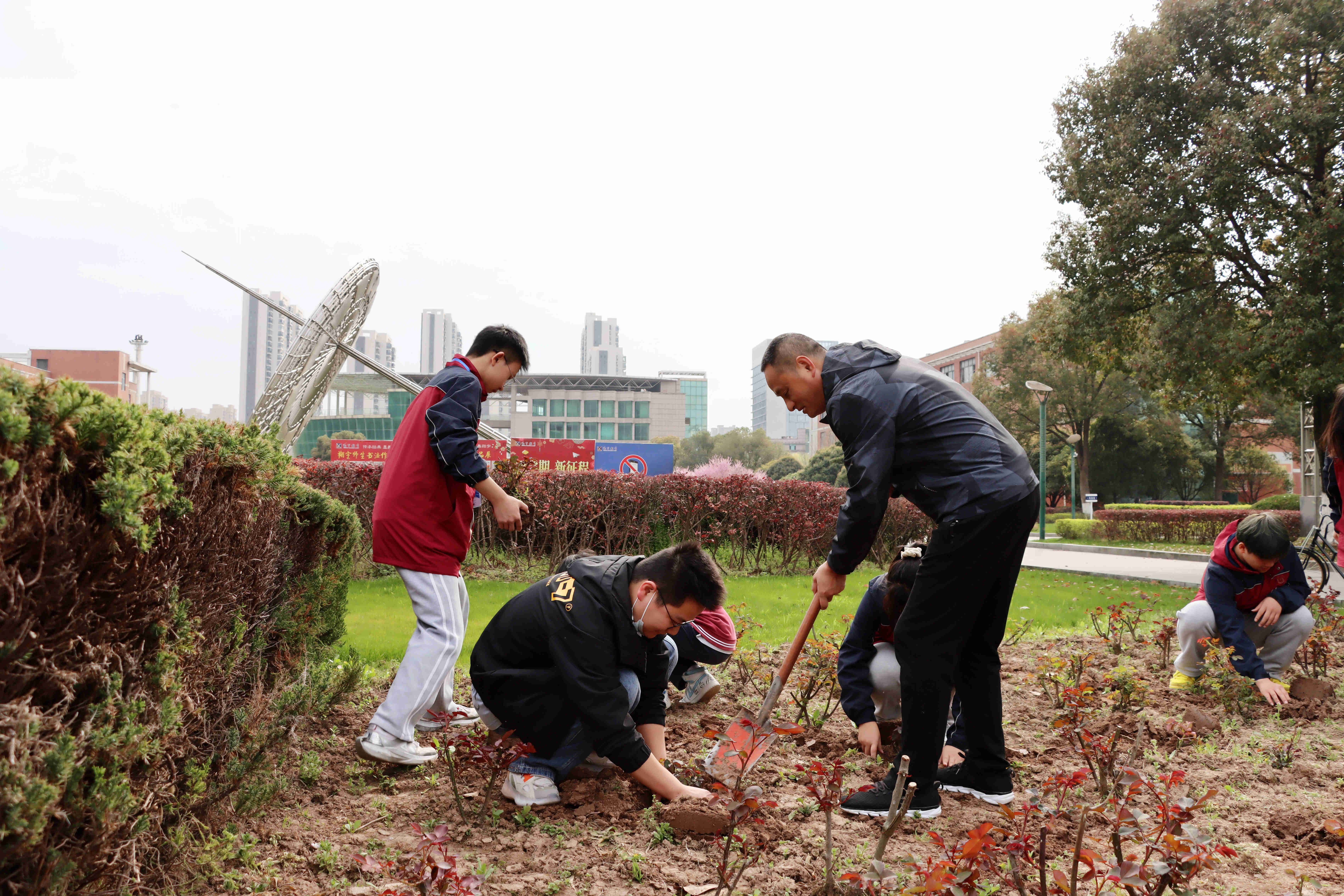 监利中学开展植树活动