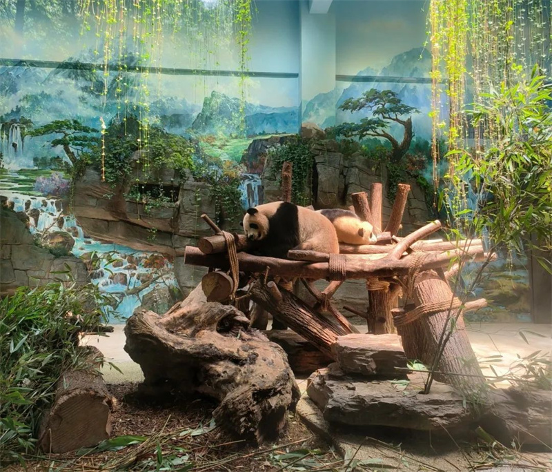 聆听古风蜀韵,畅游魅力四川