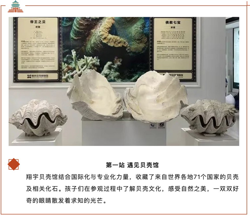 1700533907400922.jpg 1 拷贝.jpg