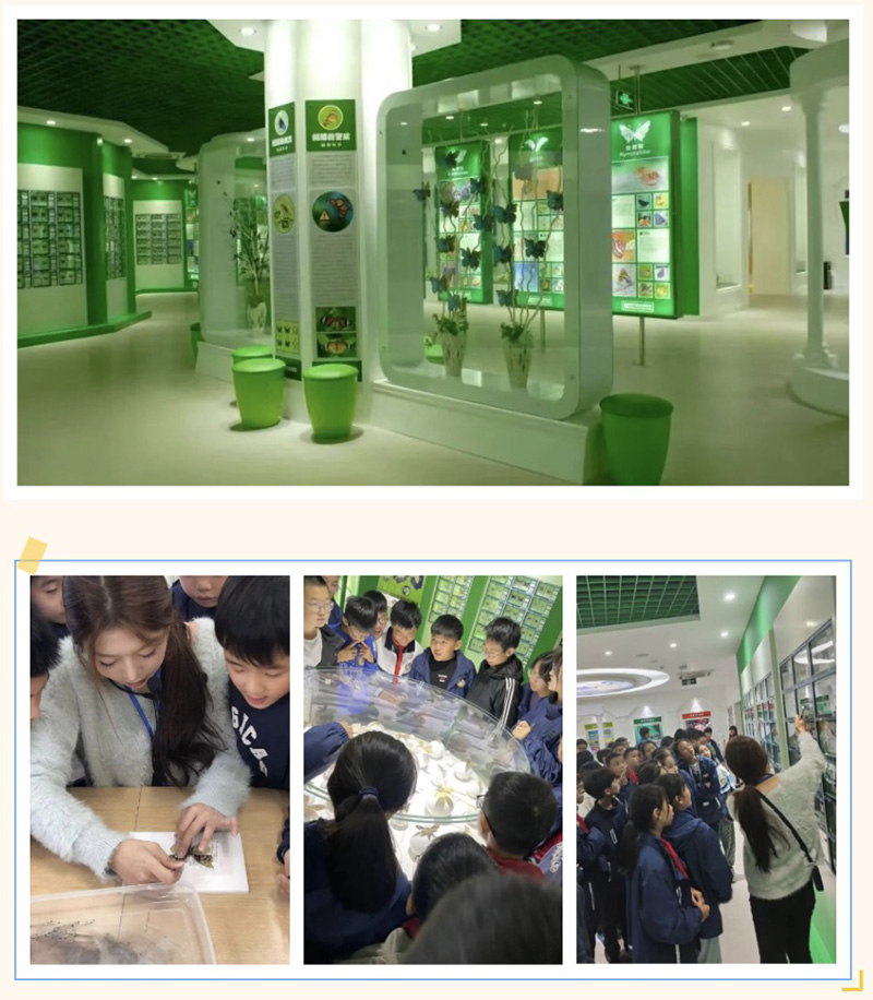 1700534011611607.jpg 2 拷贝.jpg