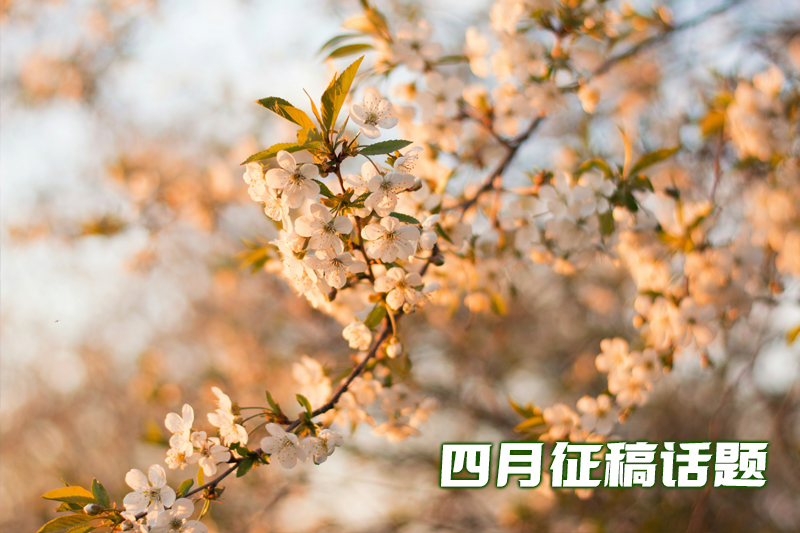 廰.jpg