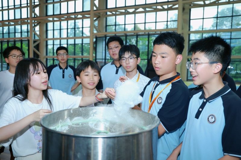 1781219263904158.jpg